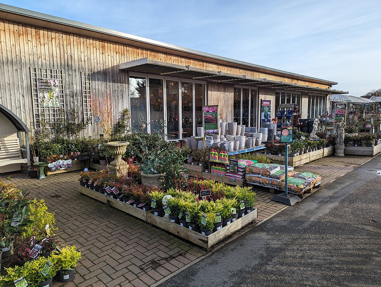 Container-grown plants at nursery garden center ready for planting